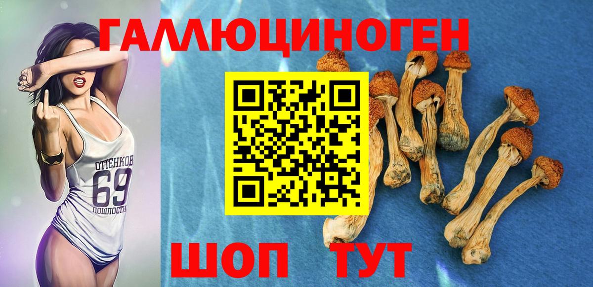 Псилоцибиновые грибы GOLDEN TEACHER Лянтор