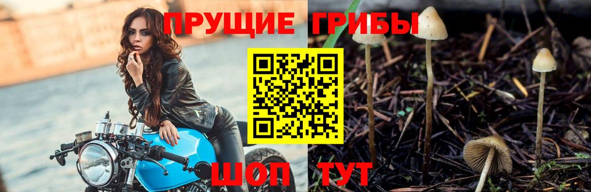 Псилоцибиновые грибы Magic Shrooms  Вход с VPN  Лянтор 